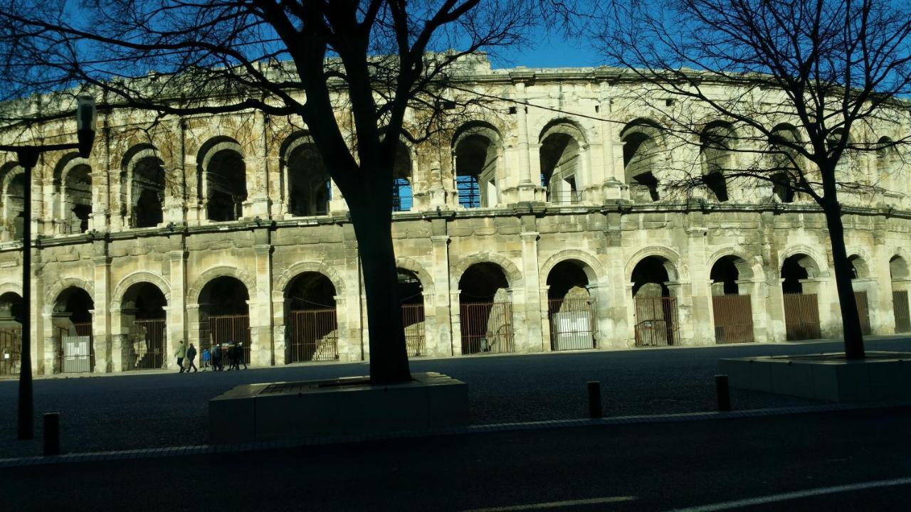 Domus Titus Spacieux T2 Proche De La Gare ニーム エクステリア 写真